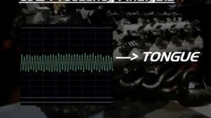 Как сделать звук lamborghini ртом.