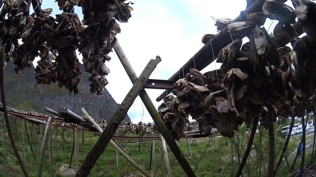 012 Символ Лофотенов сушеная треска смотреть онлайн