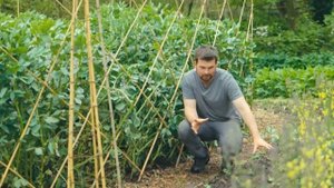 Бордюры из трав, съедобный люпин и ОЧЕНЬ редкий овес | Садовые дневники Хью