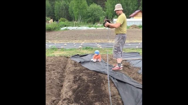 Супер грядка или огород без хлопот