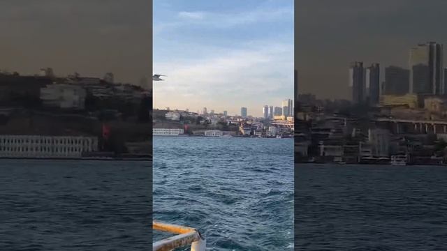Стамбул - прогулка на корабле по Босфору. #стамбул #турция #босфор смотреть онлайн