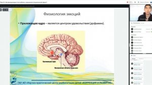 Мастерская для родителей Тема 14.Как функционирует мозг ребенка с нарушением эмоциональной сферы.mp4