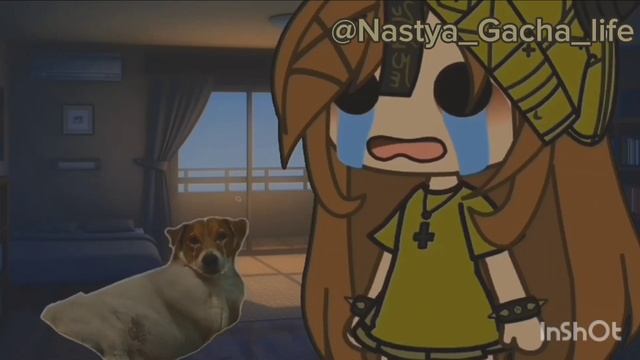 клип: ~ssshhhiiittt! танцы (если будешь плакать то я буду плакать тоже) ~ гача лайф ??✨ смотреть онлайн