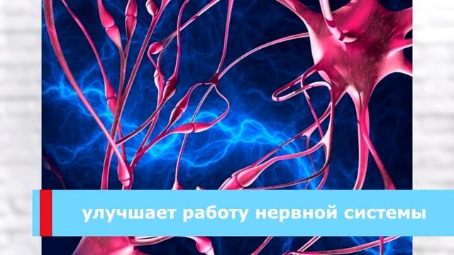 А вы видели это растение похожее на щавель: Как руккола может помочь организму