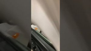 Вода в салоне приора 2 как устранить