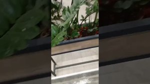 Кашпо (для цветов) прямоугольный ящик с дном решёткой на металлических ножках из уголка 20мм, 35 кг