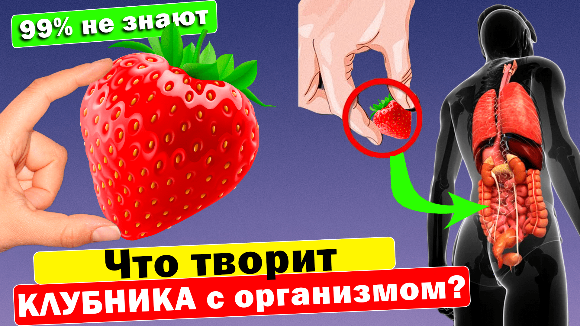 Вот что творит КЛУБНИКА с организмом?! 99% употребляющих НЕ ЗНАЮТ об этом! смотреть онлайн