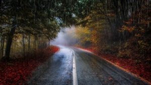 РАССЛАБЛЯЮЩИЙ ШУМ ДОЖДЯ ✨ РЕЛАКС ДЛЯ ДУШИ #rain #calm #relaxing