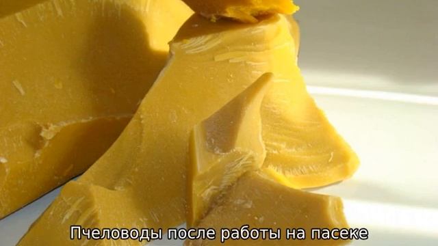 Пчелиный воск