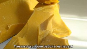 Пчелиный воск