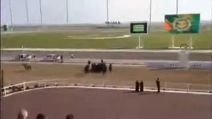 Президент Туркменистана падает с лошади!СМЕХ и ШУТКИ для Вас!