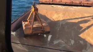 Разгрузка  зерна  на  рейде.