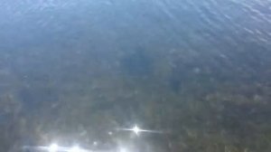 пос.Зуевка Ольховское водохранилище 2018