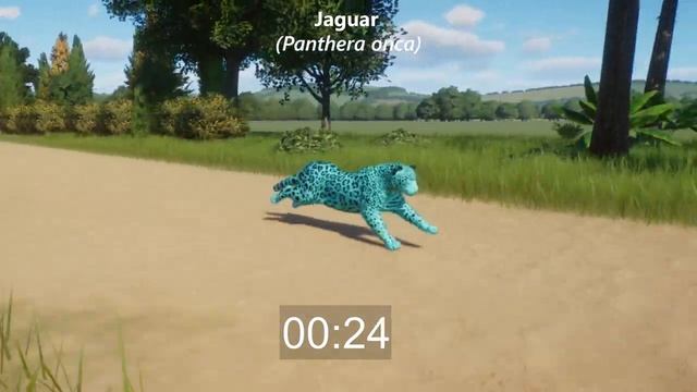 Colored Near Threatened Animals Races in Planet Zoo included Striped Hyena, Rhinoceros, Jaguar & et смотреть онлайн