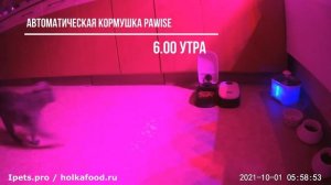 Автоматическая кормушка Pawise