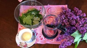 Полезный Чай из листиков мяты и мелиссы от Ванюши