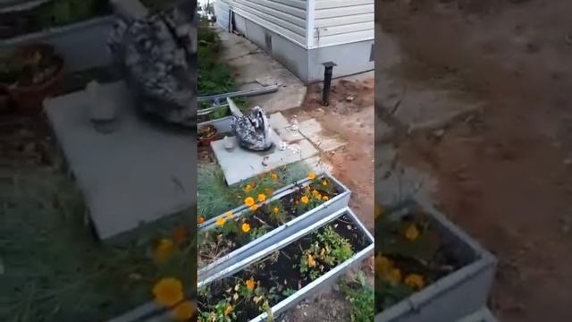 Отзыв заказчика смотреть онлайн