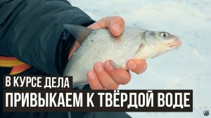 Привыкаем к твёрдой воде // В курсе дела