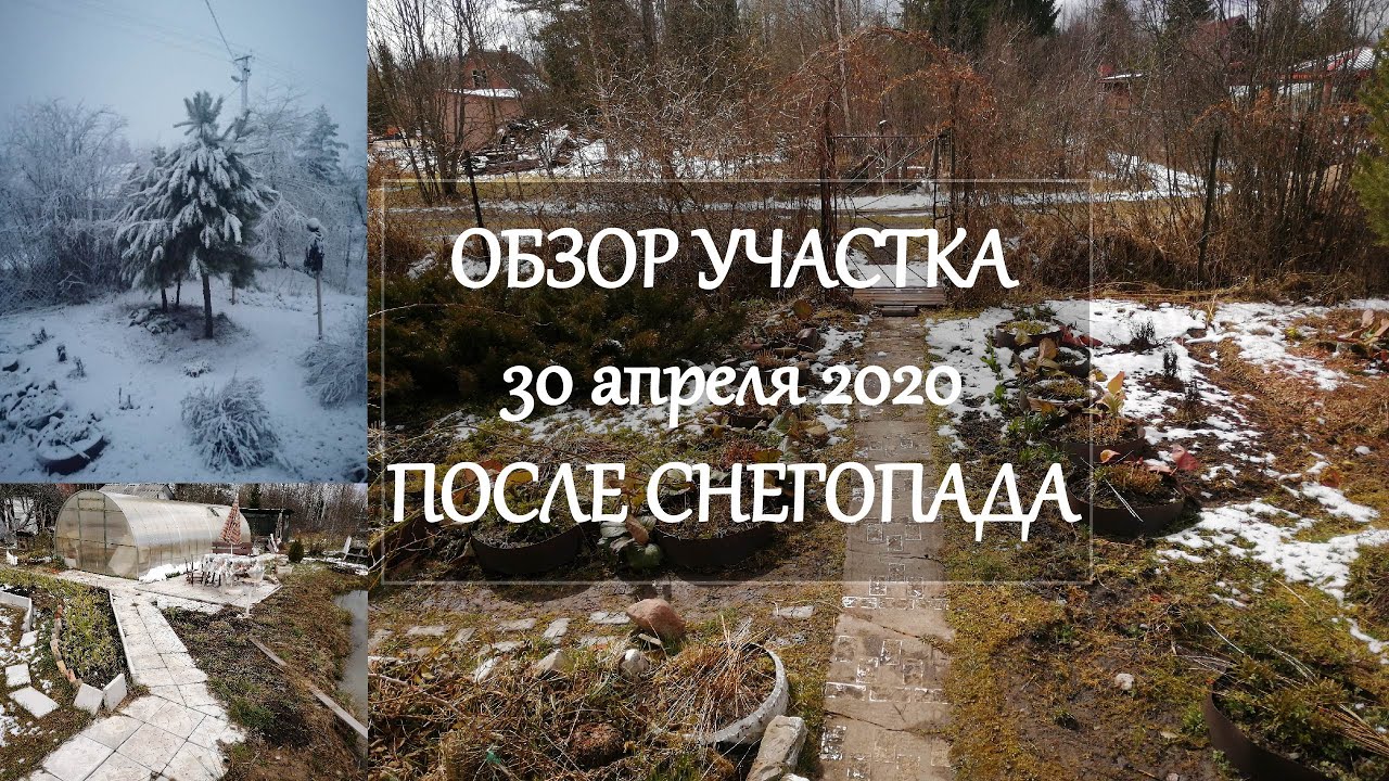 Обзор дачного участка после зимы. 30 апреля.mp4
