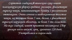 Ялта: Как отличить СЛАДКИЙ сорт лука от ПОЛУСЛАДКОГО