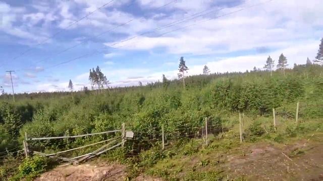 Поездка ночным поездом по Швеции в 6-ти местном купе! Stockholm - Luleå med nattåg!