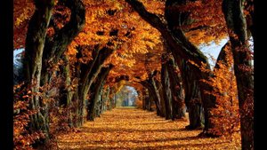 Autumn Leaves - Joseph Kosma/arr. Peter Blair