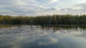 Рыбалка река Или посёлок Коктал