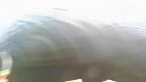 Уклейка с лодки, на зимнюю удочку