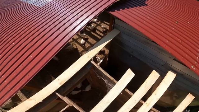 КРЫША ГОТОВА ! КУЧА МАЛЬКОВ В ПРУДУ ! [Жизнь в деревне] смотреть онлайн