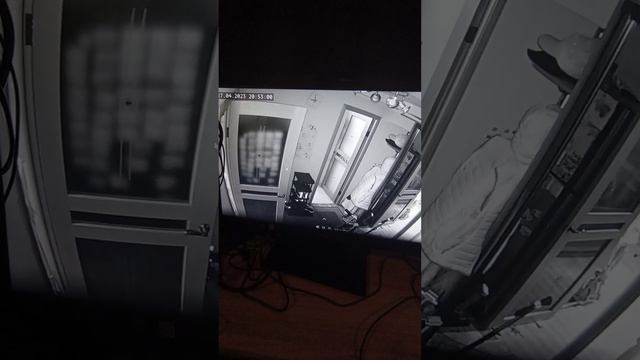 умный дом с камеры видео наблюдения