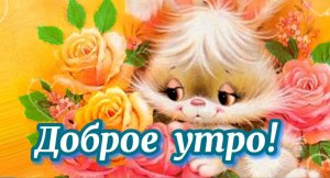 Утренний большой привет! Сил и счастья долгих лет! Доброе утро!