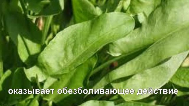 Уменьшение больших половых губ, Москва: стоимость от 7000 рублей - МОСГОРМЕД