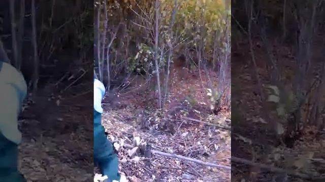 смешно до боли