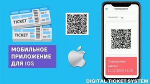 Валидация входного билета. Билетная система Digital Ticket System.