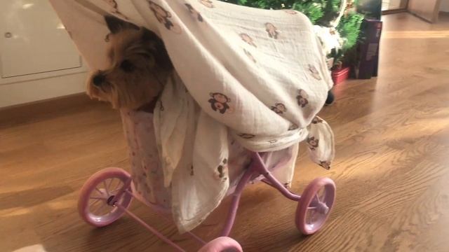 Зимняя сказка в Эстонии / Приготовление чизкейка / Первые пипаркооги смотреть онлайн