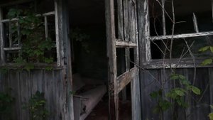 Переехал жить в Чернобыль. Строим базу сталкеров в заброшенной деревне. Волки пришли ночью
