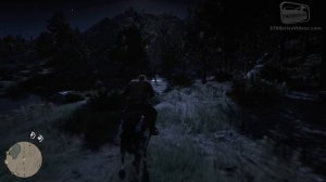 Red Dead Redemption 2 Easter Egg #1 - UFO