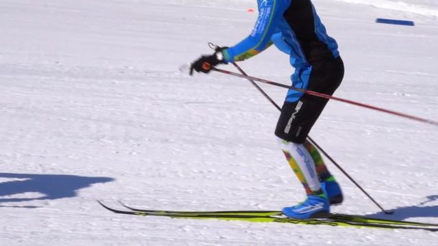 SPINE профессиональная лыжная экипировка Concept Classic Pro смотреть онлайн