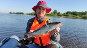 Рыбалка на Каме в июне. Ищем зачетного судака и учимся выкачивать рыбу спиннингом))