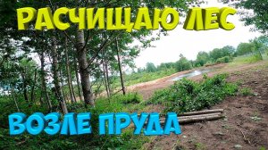 Расчищаю лес возле пруда. [Жизнь в деревне]