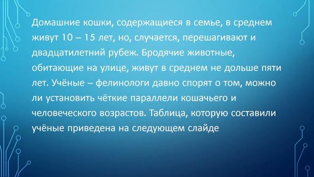 Видеоурок по теме " Кошачий возраст"