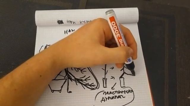 Стили бонсай. Как вырастить бонсай в стиле Хан Кенгай(Han Kengai) - "полукаскад".