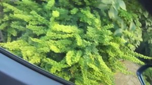 Двигатель Z22YH после замены цепей ГРМ