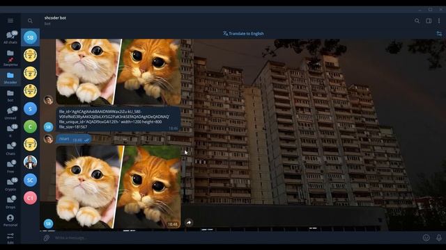 Хранить и отправлять картинки в AIOgram 3.x | Python Telegram Bot