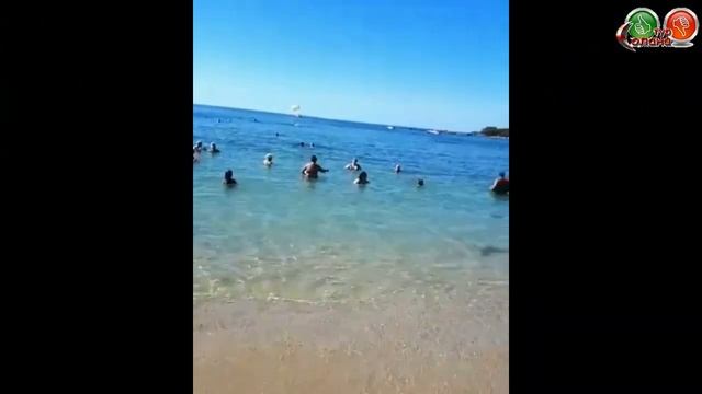 обзор отеля Otium Ozkaymak Select 5 отели на первой линии...