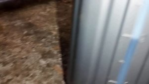 Не заводиться форд транзит конект плохо заводиться Ford Transit Connect 1.80 л  d