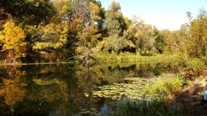 Природа Воронежской области