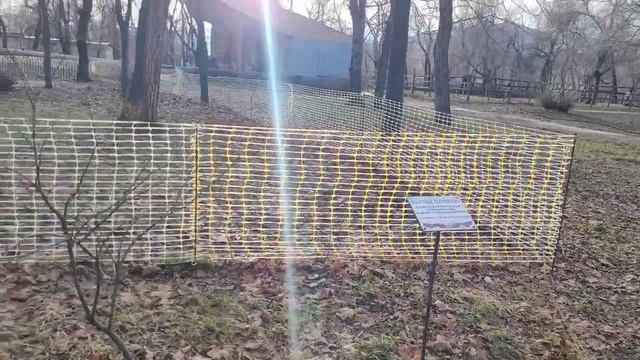 БОМБАНУЛО! ДЕЛАЮ ЗАМЕЧАНИЯ "ДИКАРЯМ" в Парке львов и тигров не ТАЙГАН! смотреть онлайн