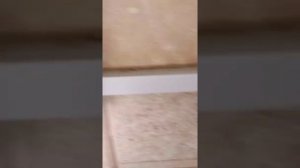 Roger автоматика для распашных ворот Как добавить пульт