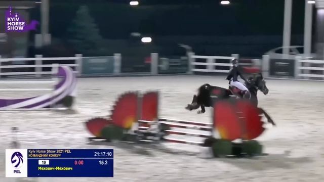 The Cutest HORSES Equestrian TikTok Compilation #91 смотреть онлайн